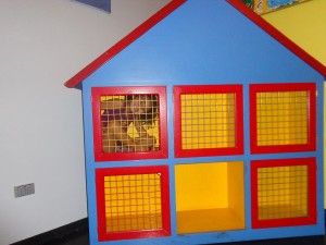 Carmen en su nueva casa